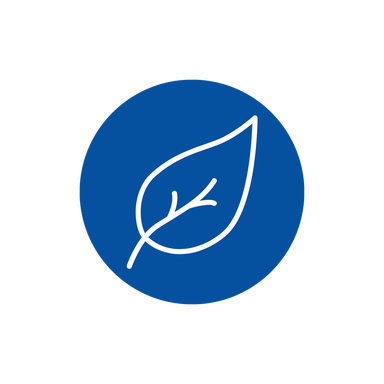 1.png 1.png
