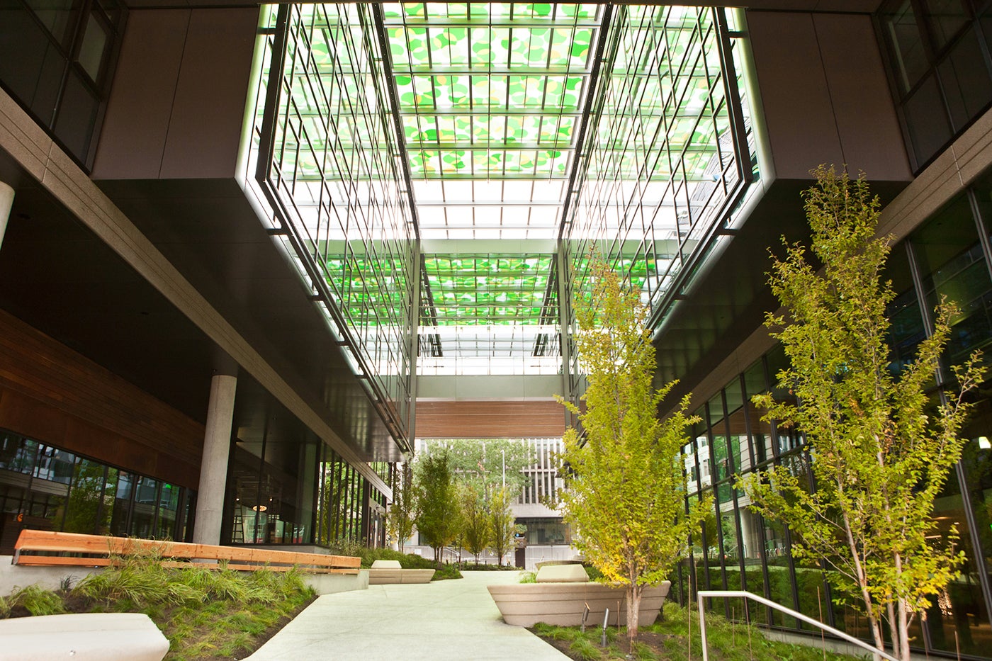 広辞苑 SRIXON ZXi Hybrids – Lefties Only Golf Shop